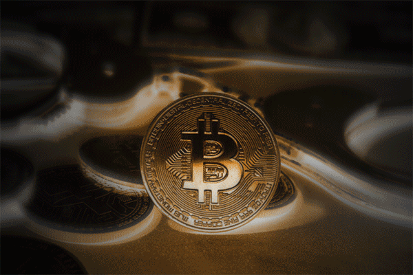 一文读懂Polychain领投的Open Ledger：专用AI语言模型SLM的区块链网络