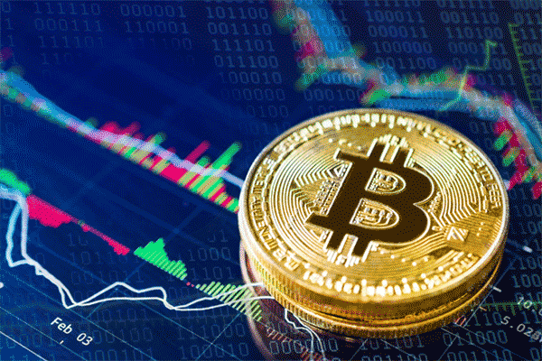 哈里斯数字广告支出已达特朗普十倍，聚焦科技平台宣传攻势